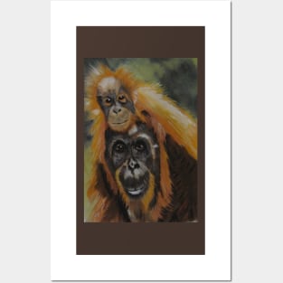 Piggy Back Mum...Orangutans...:o) Posters and Art